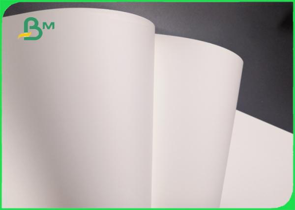 papel de 190mic Matte Polypropylene PP para o cartaz não - 500 * 800mm Tearable