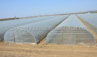 Hydroponic Greenhouse Strawberry Length 30-100m Suitable for Vegetable Fruits Flowers