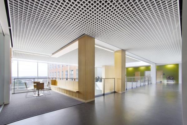 PE Powdercoated Metal Ceiling Tile Grid  100x100MM For Supermarket Decoration