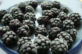Fruits surgelés baies en vente à chaud et de haute qualité IQF Blackberry surgelé