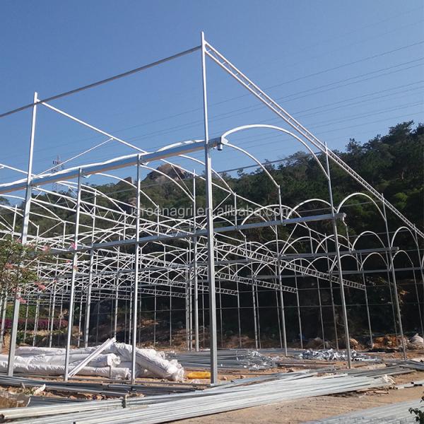 Single Layer Greenhouse Hydroponics System Wrought Iron Greenhouse With Film Surface