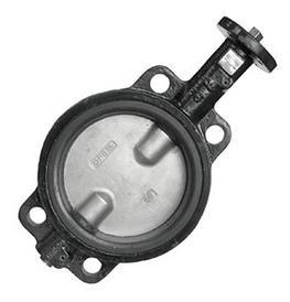 Wafer Style Stainless Steel Disc Butterfly Valve with Epoxy-Coated Ductile Iron Body