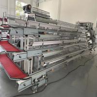 Caixa de galinha de bateria de camada de ovo com sistema automático de coleta de ovos