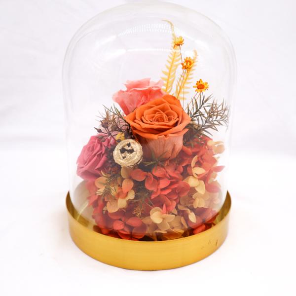 Customized Preserved Preserved Rose Glass Dome Home Decorative Christmas Gift