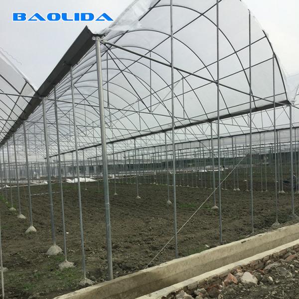 Estufa comercial do período do jardim multi para o desempenho estável vegetal