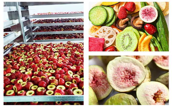 Full Automatic Customized Food Grade Vacuum Lyophilizer with 5 Years Warranty Freeze Dry Machine