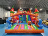 Populares toboganes inflables comerciales PAW Patrulla tema de toboganes inflables Castillo para niños y adultos