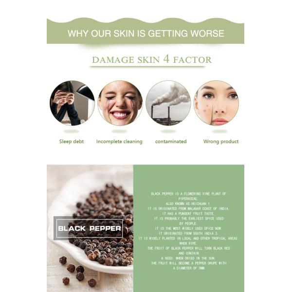 5ml Black Pepper Essential Oil Bulk Benefits Skin Nourishing MSDS OEM