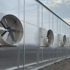 Heavy Duty Industrial Ventilation Fan Max Airflow 55000m³/h Greenhouse