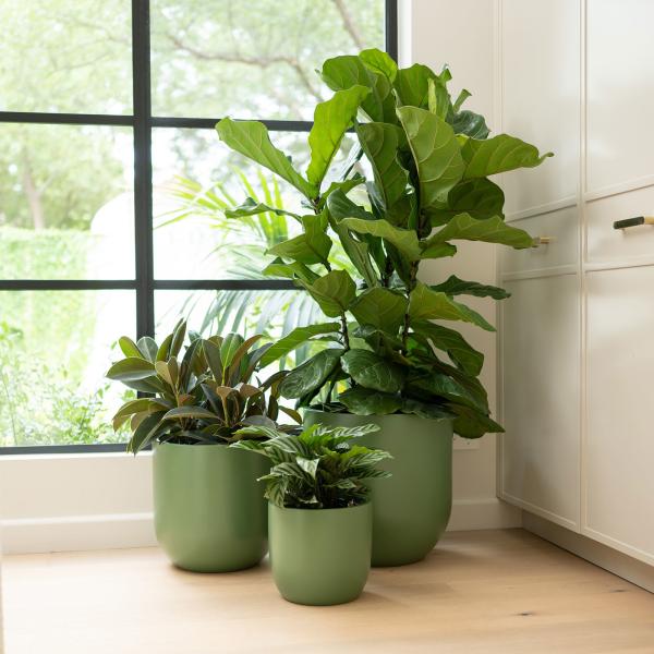 Boîtes à fleurs en fibre de verre de poids léger Boîte à plantes GRP pour décoration intérieure extérieure