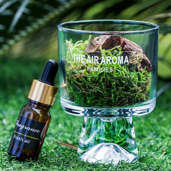 Exquisite Boxed Gift Packaging 100ml Reed Diffuser Luxury Moss-Inspired Scented Oil