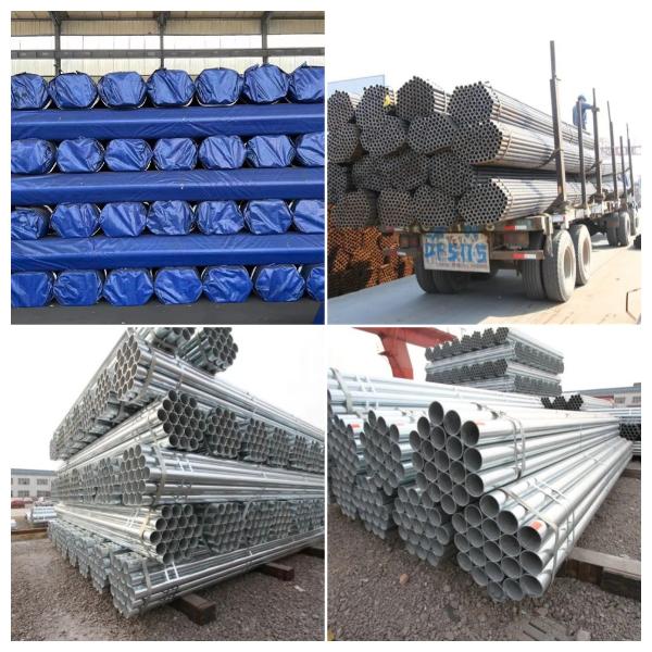 Hot Dip Galvanized Scaffolding Steel Tube Q195 Scaffolding Tubes And Pipes