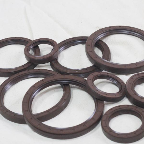 PTFE/UHMWPE/PEEK resistente a altas temperaturas, anel de vedação de óleo hidráulico energizado por molas