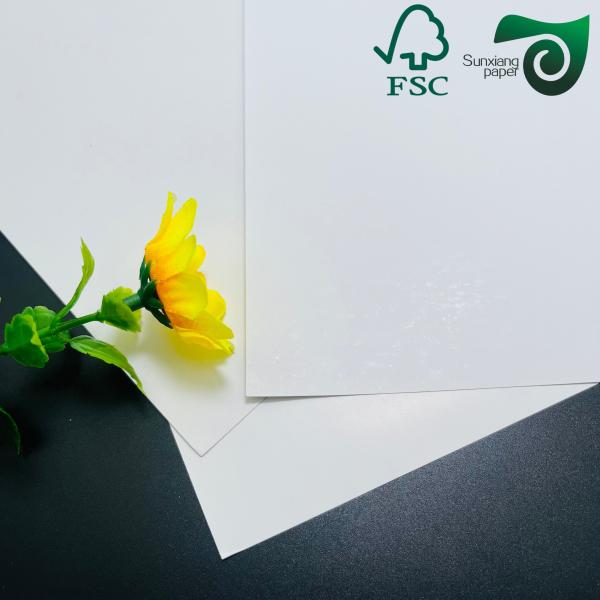 FSC 80gsm 90gsm Super White Gloss Mirror Cast Coated Paper For Sticker 20 30 Inches