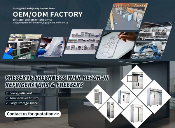 Commercial Kitchen Refrigerator with Durable Stainless Steel  220V-240V/110V/60HZ