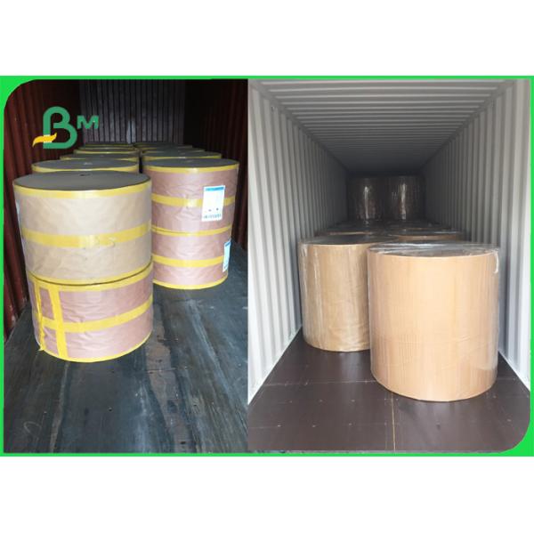 clay coated kraft board Food Grade 270gsm PE 1 / S Clay Coated Kraft Board For Frozen Products