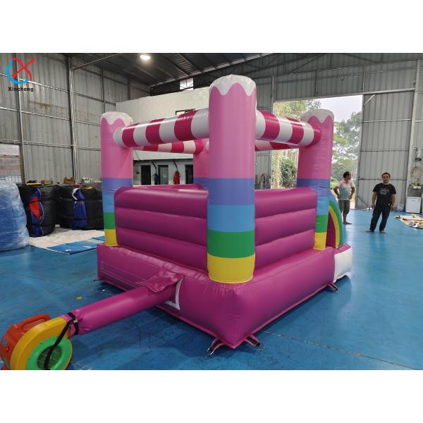 Commercial Grade Inflatable Bounce House Pink House Inflatable Jumping Castle
