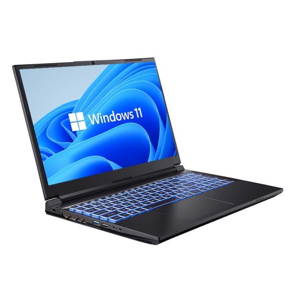 12th Gen Gaming Laptop with GTX1650 4GB Video Card and Core I5 12500H or I7 12700H Processor