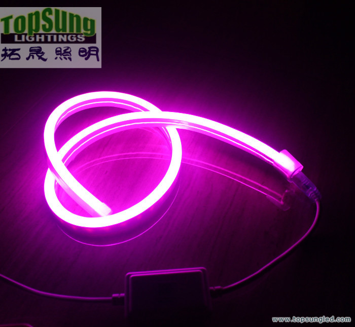 мини-размер RGB LED неоновый флекс 10 * 18 мм полный цветопеременный неоновый свет 110V SMD5050