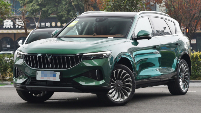 VOYAH ОСВОБОЖДАЮТ 2023 средство версии SUV супер длинного времени работы от батарей 4WD выдвинутое большое