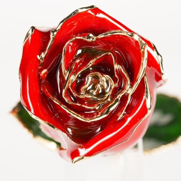 Gold Plated Rose Fresh Preserved Flower Gold Plated Natural Rose Everlasting Rose Flowers Wholesale Valentine Mother Day