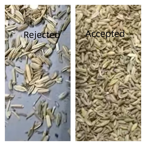 Mini 32-Channel Color Sorter for Spices.