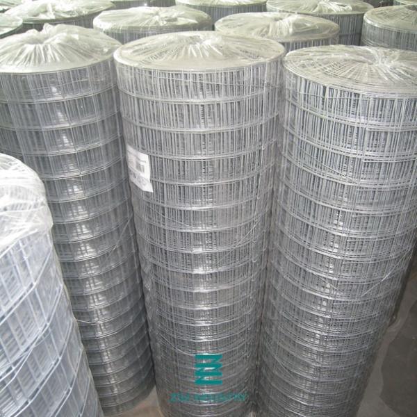 Plain Weave Welded Wire Fence Roll Galvanized Iron Wire Fencing Mesh Hole 1/2