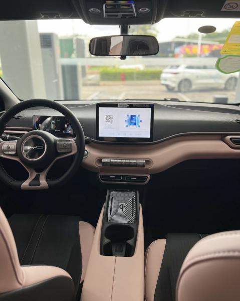2025 BYD Pink 405km Flying Edition Seagull 5-door 4-seater New Energy Vehicle