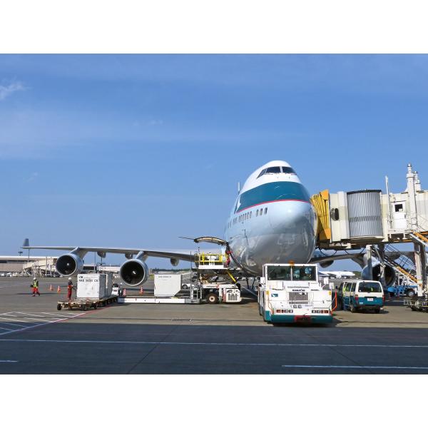 Shanghai Air International Freight Forwarder Air Cargo CA EY SQ
