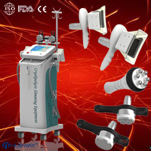Cryolipolysis Slimming Machine