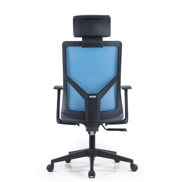 Office Manager's Choice Adjustable High Back Executive Office Chair with Lumbar Support