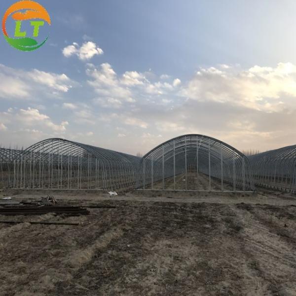 Backyard Tomato Plant Growth High Tunnel Greenhouse Frame with Film Cover Material