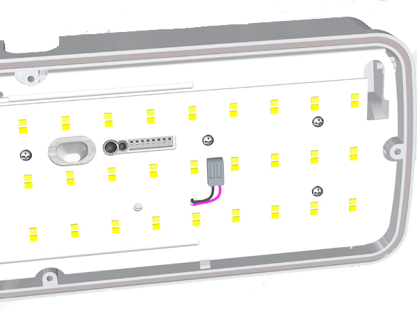 Bulk Head LED Porch Light 8W with 3CCT and Power Switchable and  Microwave Sensor | Emergency | Microwave Sensor + Emergency Function Optional