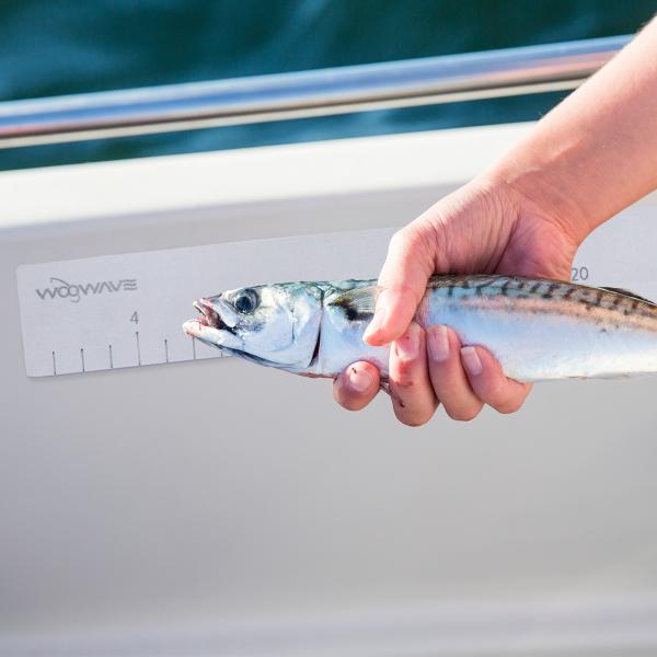 EVA Foam Fish Ruler for Measuring Fish Length on Boat Accessories Marine Fishing Tool