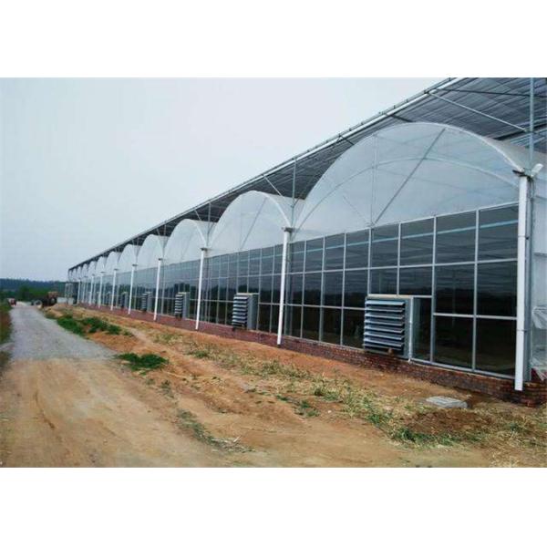 Scientific Research Agricultural Glass Greenhouse High Light Transmitting Rate