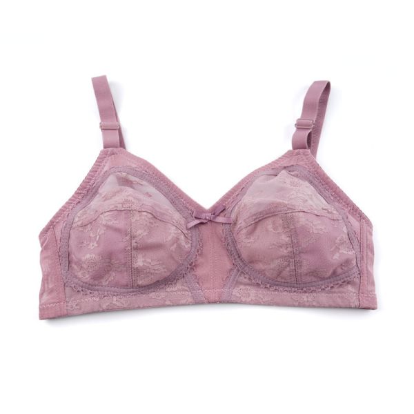 Bulk Sale Plus Size D Cup Women Bra Lace High Quality Factory Sell Underwear Bras for Women