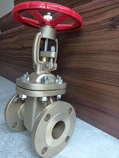 Flange Connection CF8 Stainless Steel Gate Valve for Industrial and Heavy-Duty Applications