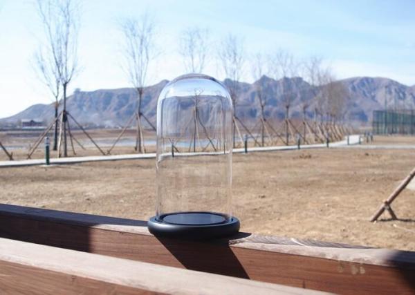 Big glass dome for display doll fake flower or decoration with wood base