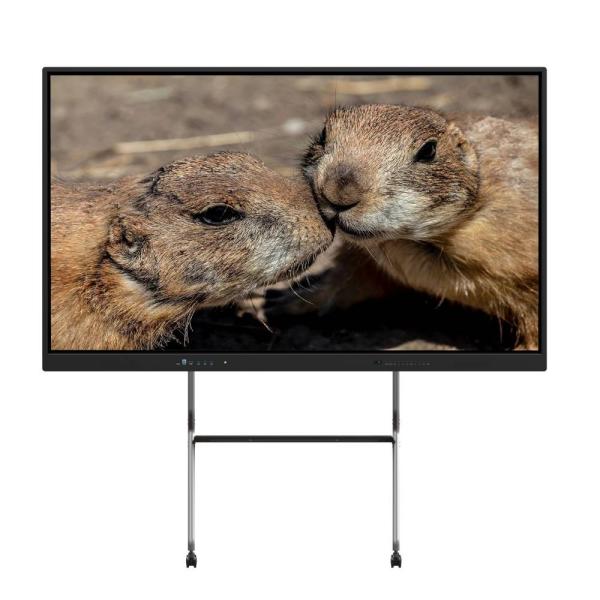 65 Inch Interactive Panel for Presentation Performance With Wifi Bluetooth Whiteboard Software Inbuilt For Classroom Meeting Room White/Black Cabinet Color
