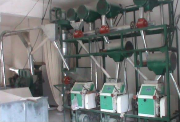 Day 36 tons of processing wheat milling equipment，Stainless steel material,model: LM-36T/LM-20T
