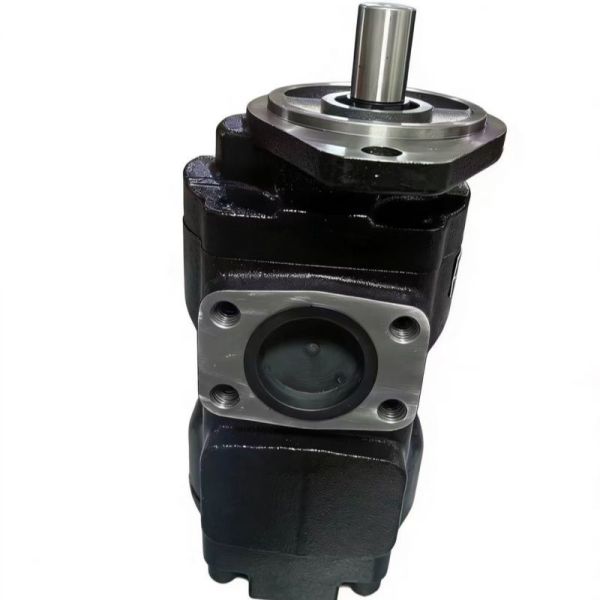 7029122001 Replacement Hydraulic Gear Pump Heavy Duty Equipment Parts