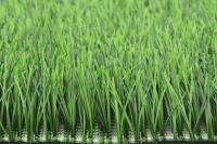 Le champ tissé engazonnent le tapis artificiel d'herbe du football de gazon du football à vendre