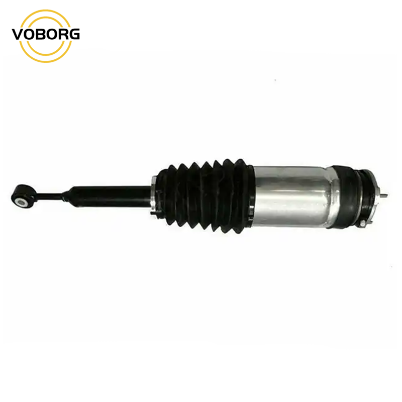 Direct Wholesale Good Quality 1027461-00-G 1027461-00-E Auto System Air Suspension Shock Absorber