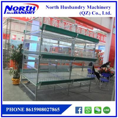 Paket Peralatan Kandang Ayam