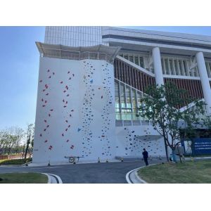 Speed Climbing Wall