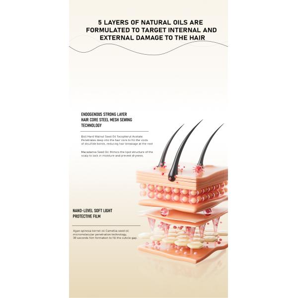 Pure Argan Oil Hair Treatment Products Refreshing Anti Oxidantion