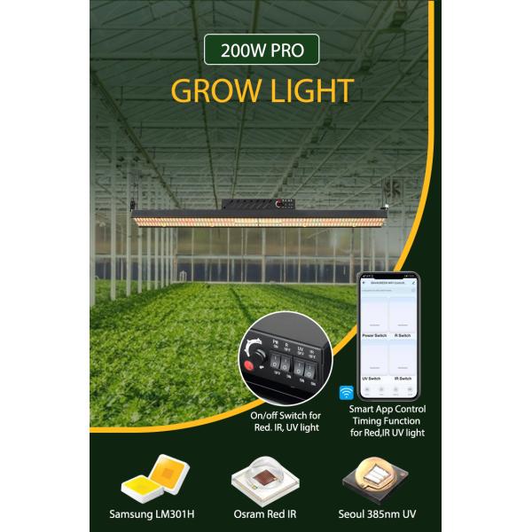 Прокладки инфракрасн УЛЬТРАФИОЛЕТОВЫЕ Samsung Lm301h садоводства 200w SAA Hydroponic красные