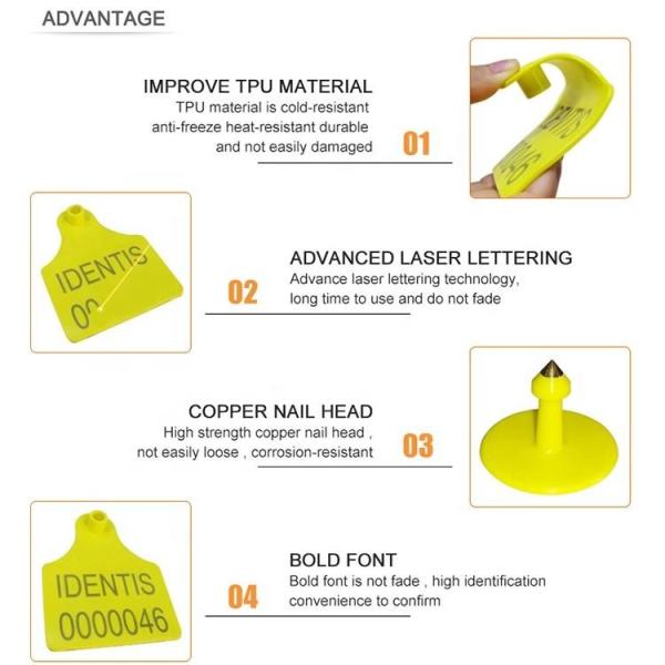 Odor Free Non Toxic Livestock ID Tags Pig Ear Tags 75*6mm 110*75m