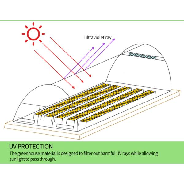 Sturdy UV Protected Polycarbonate Dryer Greenhouse with Hot Galvanized Steel Frame