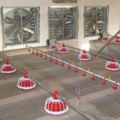 ² 300g Pan Feeding System automatique de 20 Birds/M